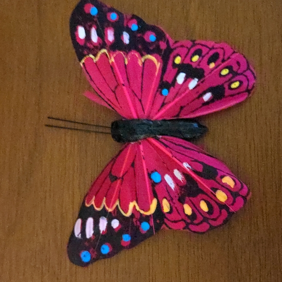 Paper Mache Magnetic Butterflies - Picture 3 of 9